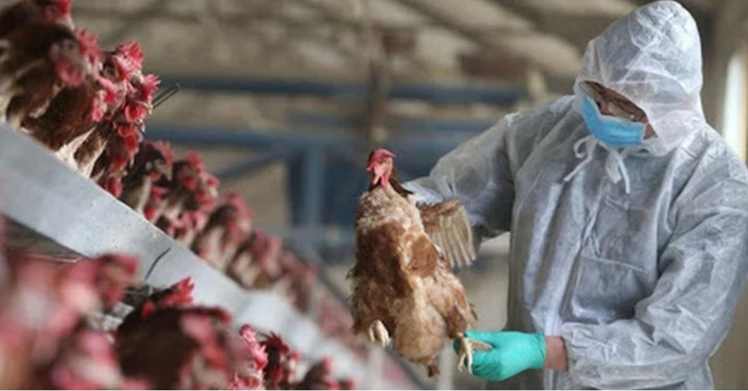 Vietnam detects first human case infected with avian influenza subtype H9